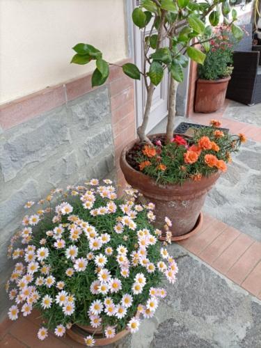 Chianti-Home Palagione سترادا المظهر الخارجي الصورة